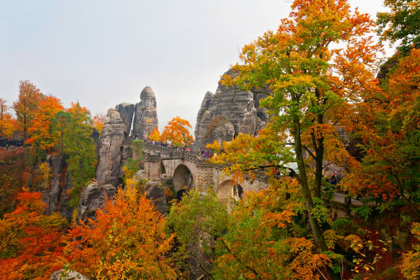 automne en suisse saxonne, allemagne - basteifelsen photos et images de collection