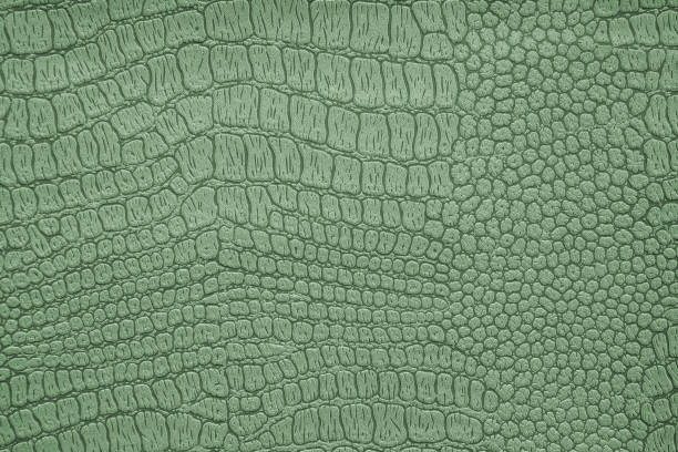 Background image - artificial textured crocodile skin green