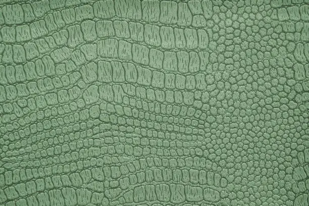 Photo of Background image - artificial textured crocodile skin green