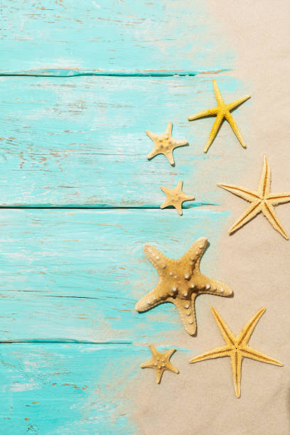 istock Starfishes on a light blue wooden background with sand and copy space 1327767081
