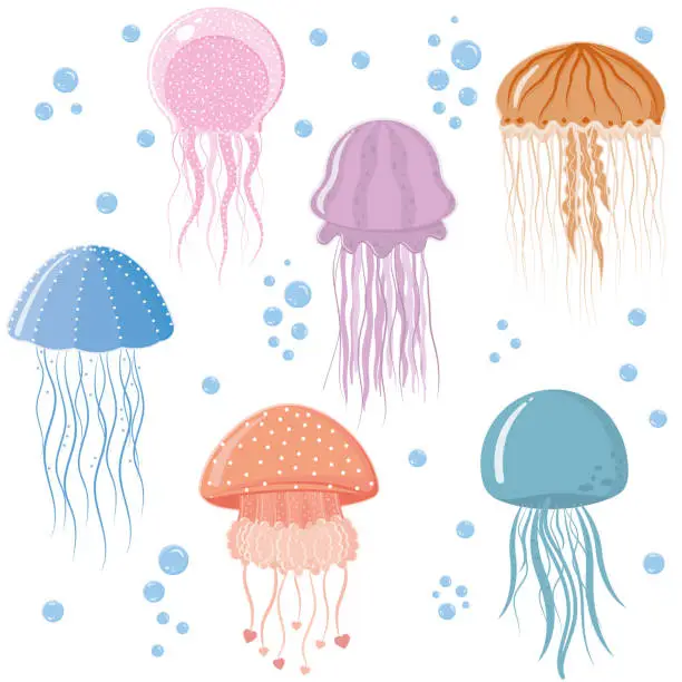 Vector illustration of jellyfish pattern, color vector illustration on a white background