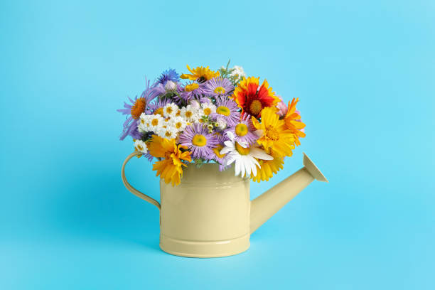istock Yellow watering can with beautiful flowers on light blue background 1327767857