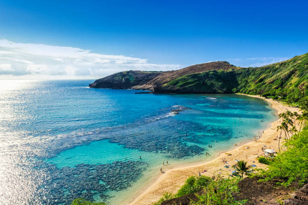 hanauma bay - hawaï eilanden stockfoto's en -beelden