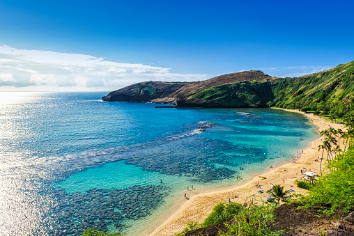 Stock image of Waikiki Beach, Honolulu, Oahu, Hawaii