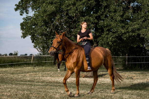 istock Cheerful dancing horse with young rider. Full trust and mutual understanding. High professionalism. Sports and health. Love for horses. 1327768220