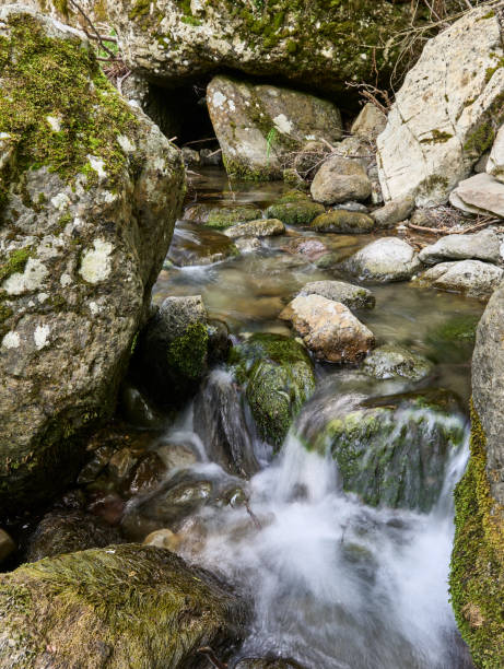 istock Small stream in S. Stefano d'Aveto, Liguria, Italy 1327769401