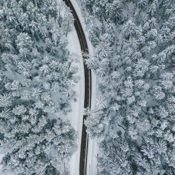 istock High Angle View Of Snowy Forest During Winter 1327770561