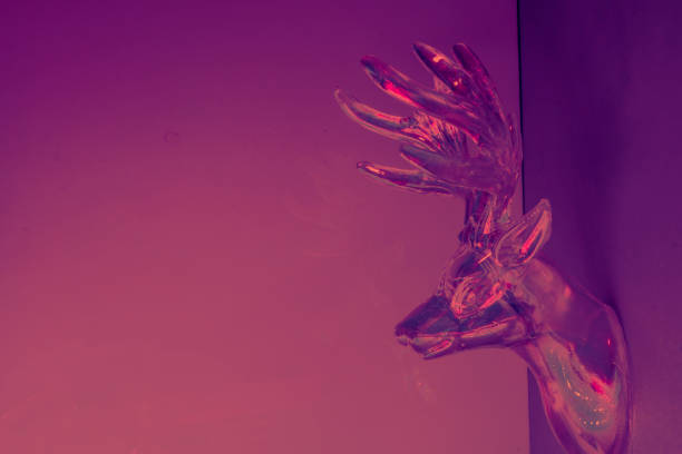 Deer head on wall. Weird Concept photo background