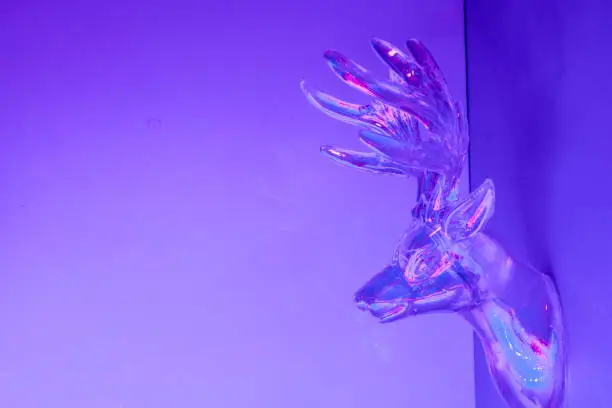 Crystal Deer head on wall. Neon holographic colors pink and blue. Concept photo for winter holidays, Christmas, New year