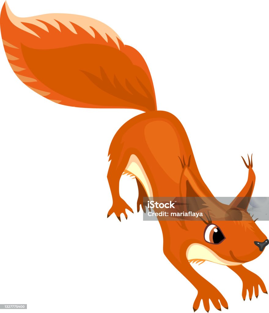 Cartoon Red Squirrel Isolated On White Background Stock Illustration -  Download Image Now - Squirrel, Eurasian Red Squirrel, Cut Out - iStock