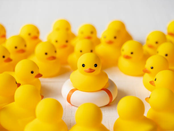 istock Group of yellow rubber ducks surrounding and looking at one duck which is sitting on a lifebuoy, life belt or an inflatable ring. Scene set on a white wooden background. 1327777571