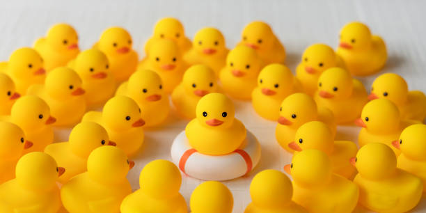 istock Group of yellow rubber ducks surrounding and looking at one duck which is sitting on a lifebuoy, life belt or an inflatable ring. Scene set on a white wooden background. 1327777577