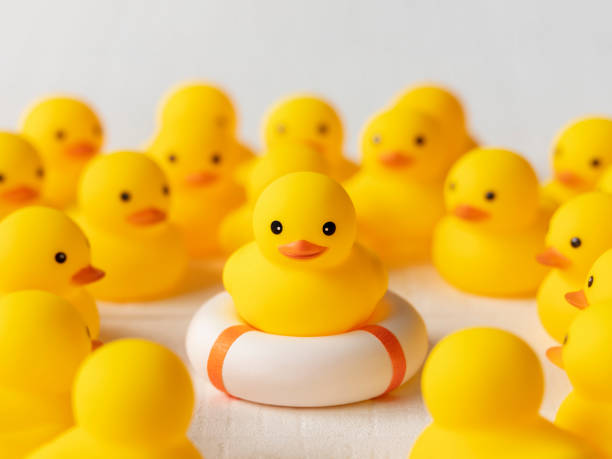 istock Group of yellow rubber ducks surrounding and looking at one duck which is sitting on a lifebuoy, life belt or an inflatable ring. Scene set on a white wooden background. 1327777582