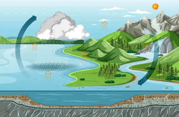 Vector illustration of Water cycle diagram (Evaporation) with nature landscape scene