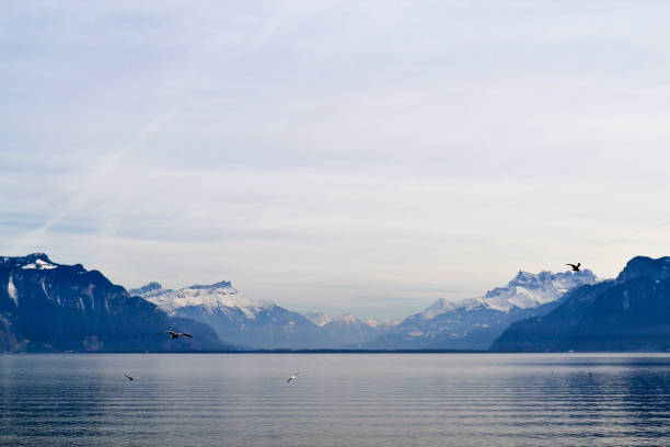 View of the Swiss Alps and Geneva Lake on a clear day, from Vevey, Switzerland