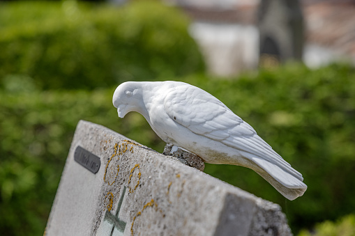 The use of marble pigeons on tombstones is a symbol of both peace and the Holy Spirit. This on is from Kappel Churchyard and is placed in the lapidarium, which is a place where old monuments are kept for historical reasons