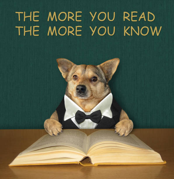 istock Dog intelligent reads book at desk 1327779011