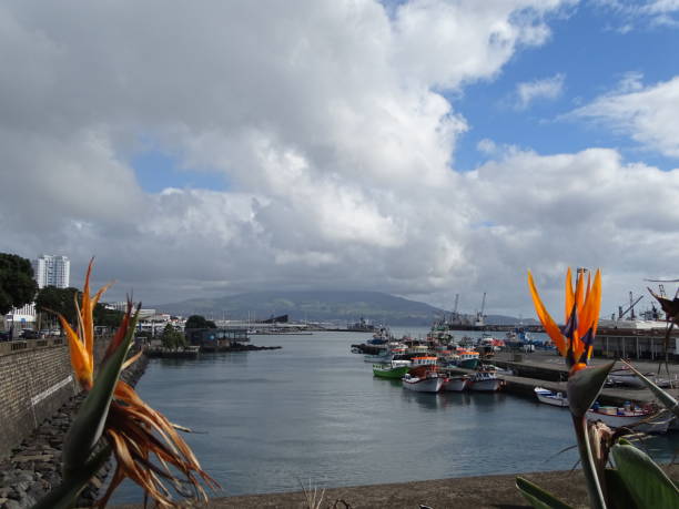Harbor of Ponta Delgada capital city, Azores travel destination, colorful boats, flowers. stock photo