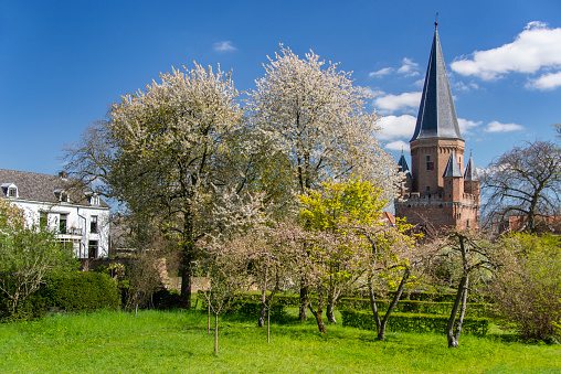 The Sogn Mang chapel at Bonaduz, Grisons on the open field with big lush poplar trees in summer