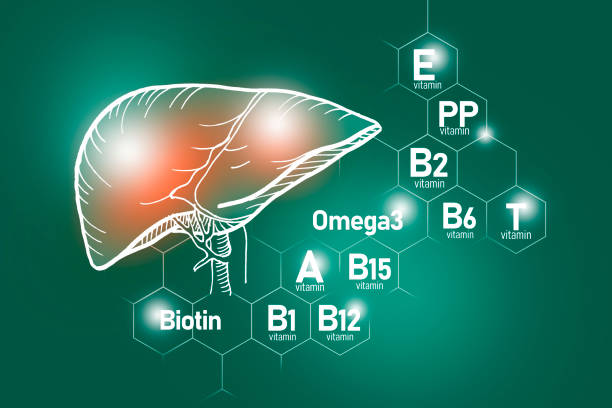 illustrations, cliparts, dessins animés et icônes de nutriments essentiels pour la santé du foie, y compris les oméga-3, carnitine, biotine, vitamine pp, vitamine b. - molecule glucose chemistry biochemistry