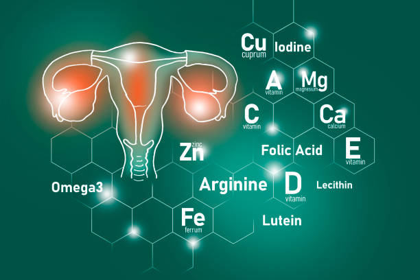 bildbanksillustrationer, clip art samt tecknat material och ikoner med essential nutrients for uterus health including omega 3, arginine, lutein, lecithin. - äggledare illustrationer