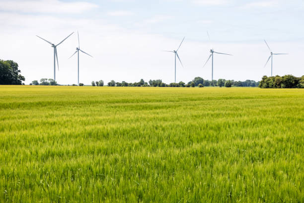 istock Wheat field with wind turbines 1327782244
