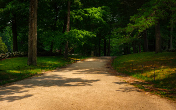 istock Dirt Footpath in the Shadowy Green Forest. Nature Trail Trip Image with Space for Text. 1327783046