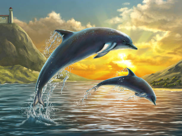 ilustrações, clipart, desenhos animados e ícones de golfinhos saltadores - sea life centre