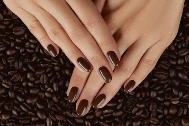 Beautiful groomed womans hands with brown nail design. Manicure, pedicure beauty salon concept.
