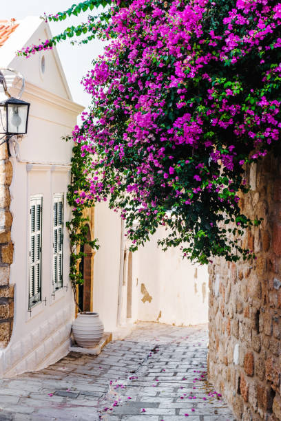 istock Beautiful Lindos street in Summer - Greece 1327788565