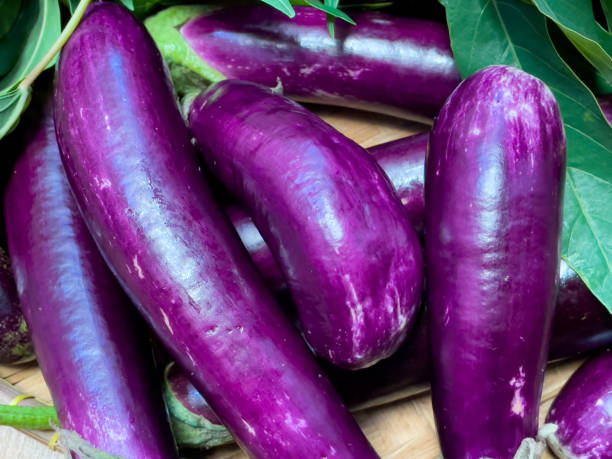 istock A closeup of eggplants and leaves 1327791693