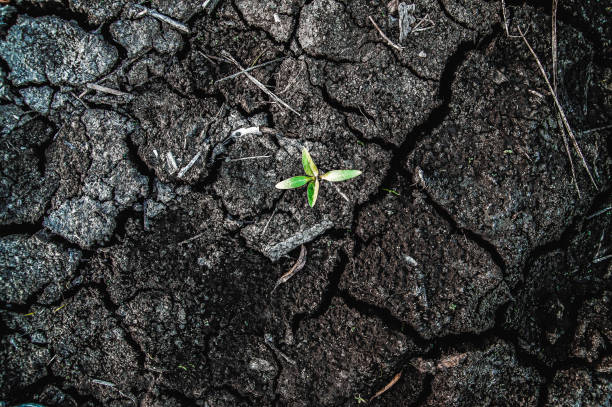 istock The origin of life 1327794305