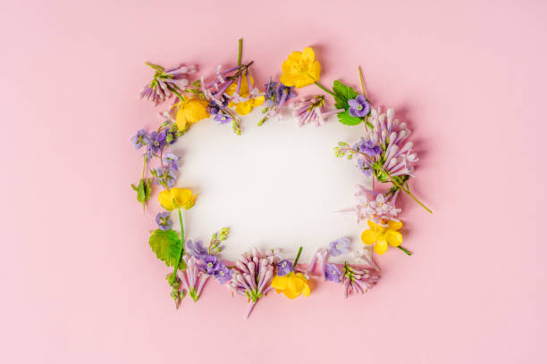 istock A frame of different colors around a white empty postcard on a pink background. Place for the text, copy space 1327797761