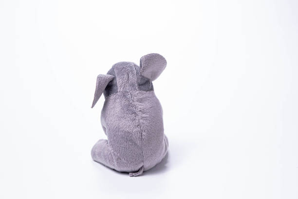 istock soft toys isolated on white background 1327799935