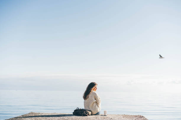 晴れた日に水の近くの桟橋に座っている若い女性。 - sunny day sunlight seagull ストックフォトと画像