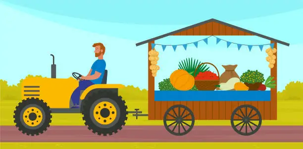 Vector illustration of Farmer is selling vegetables, autumn harvest festival time. Man rides tractor carries trading tray