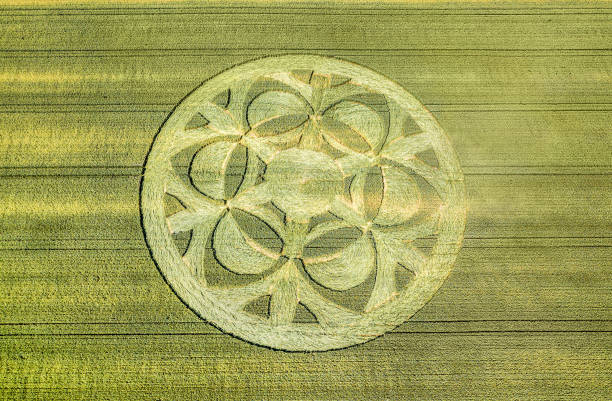 istock Mysterious crop circle emerged overnight in wheat field with beautiful pattern, Bueren an der Aare, Switzerland 1327803402