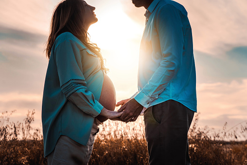 Pregnant wife couple lovers standing holding hands together on a field at sunset - Family concept