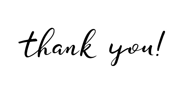 Thank you lettering. Vector illustration on white background. Handwritten text