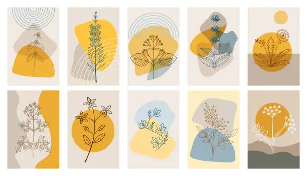Vector illustration of bitter herbs p1, abstract poster, set 1 dd