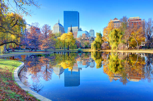 automne dans le jardin public de boston - boston massachusetts photos et images de collection