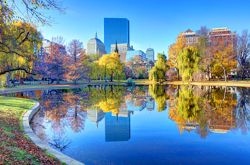 The Boston Public Garden, is a large park in the heart of Boston, Massachusetts, adjacent to Boston Common.