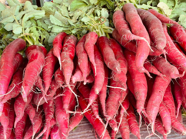 Many red long radishes on a stand