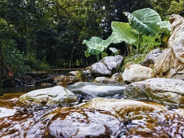 Close-up view of stones in river