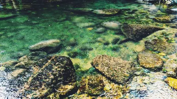 Close-up view of stones in river