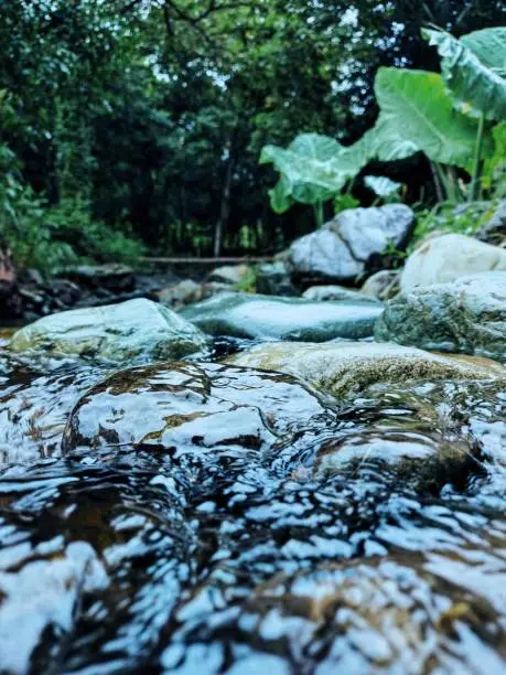 Close-up view of stones in river