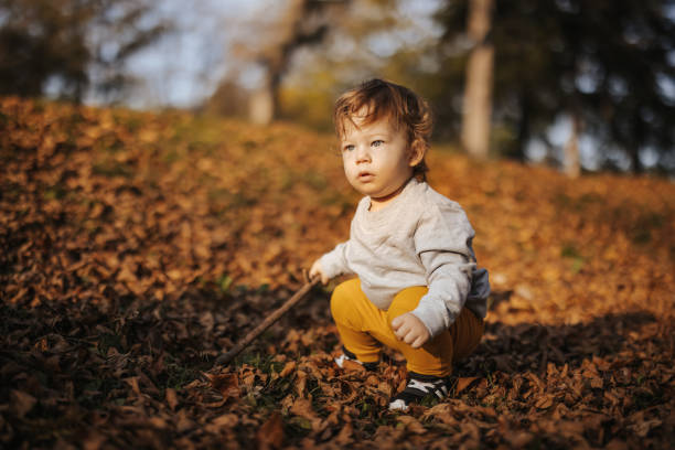 istock Baby boy playing in autumn leaves 1327822900