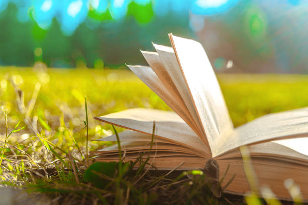 istock An open book on the grass in the park 1327824572