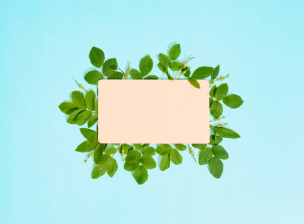 istock Paper sheet and leaves. 1327827559