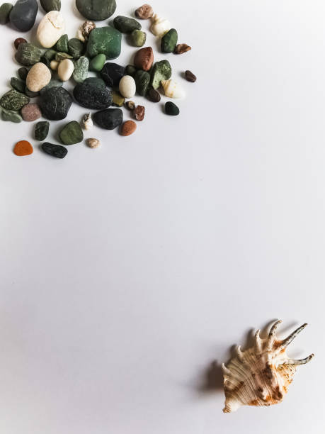 istock Sea stones and seashells isolated on white background 1327828088